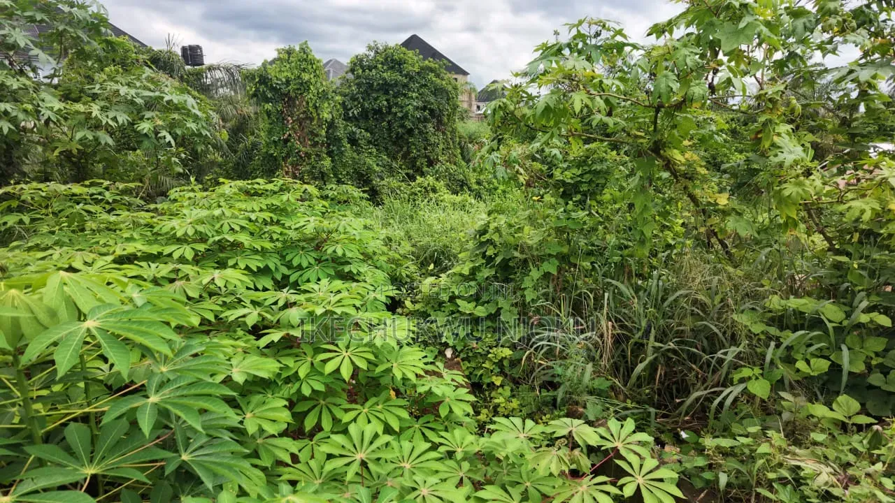 1 Plot of Land for Sale