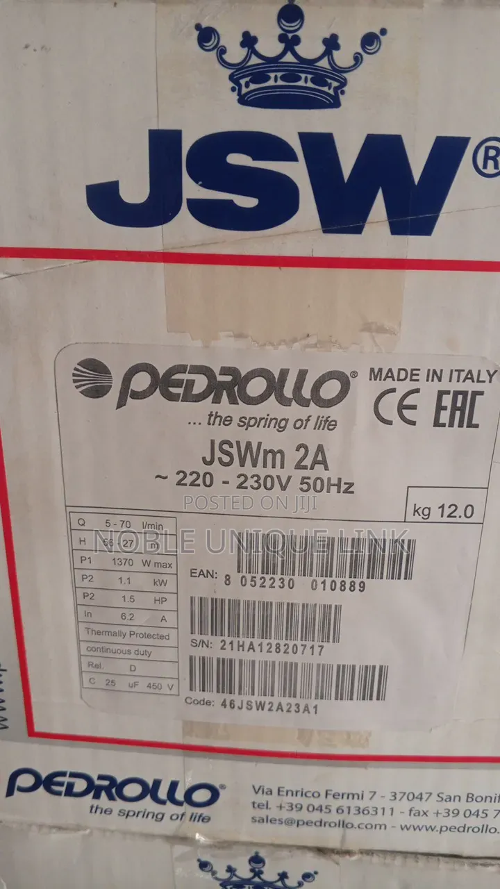 1.5 Horsepower Pedrollo Surface Water Pump