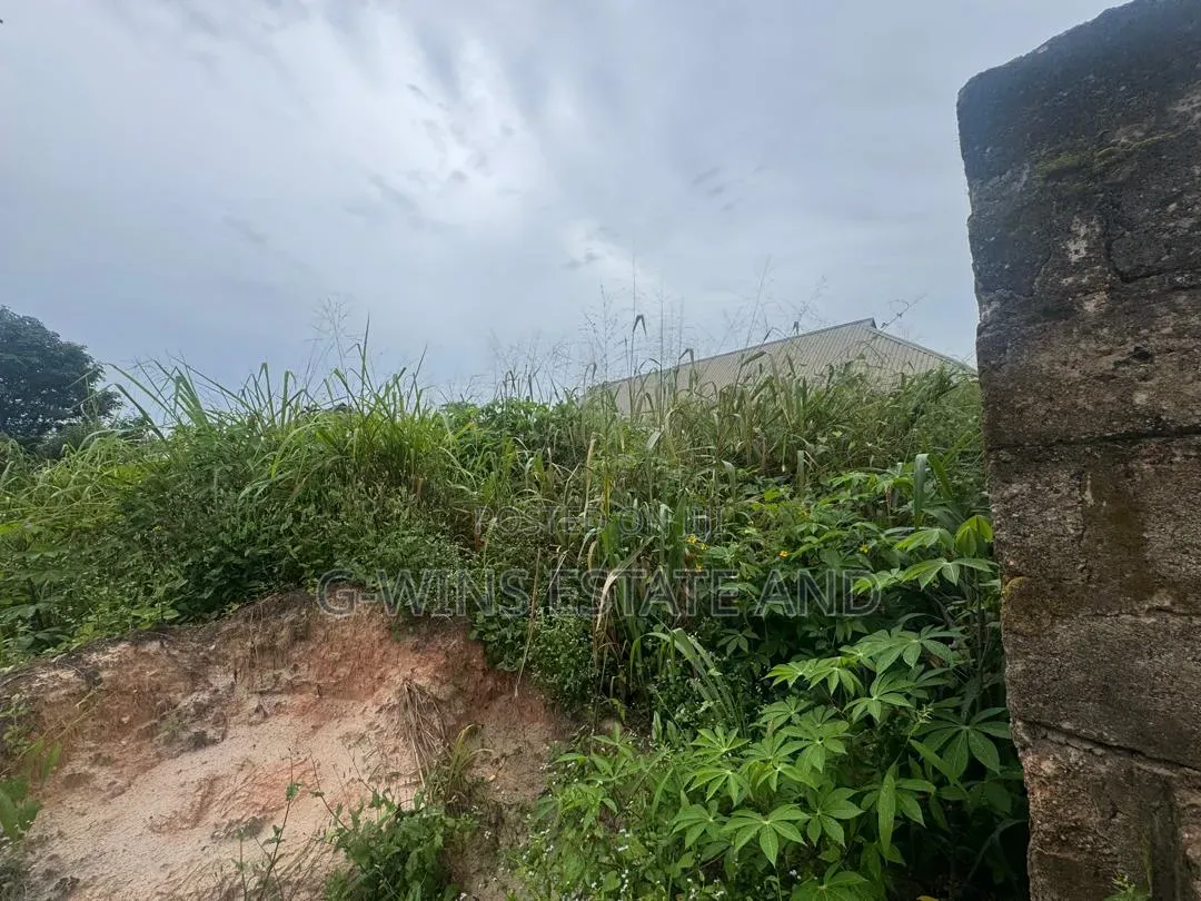 100x100ft Bare Land for Sale