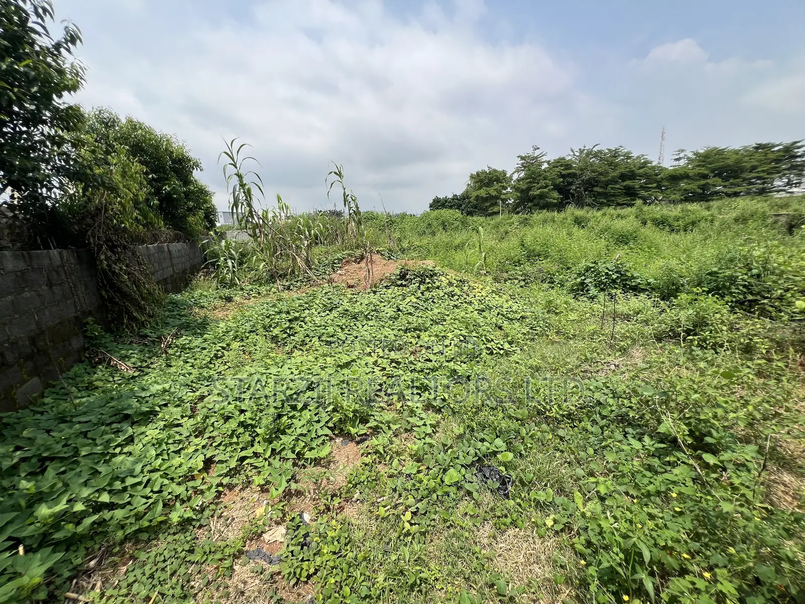 An 800sqm Residential Land in Mabushi