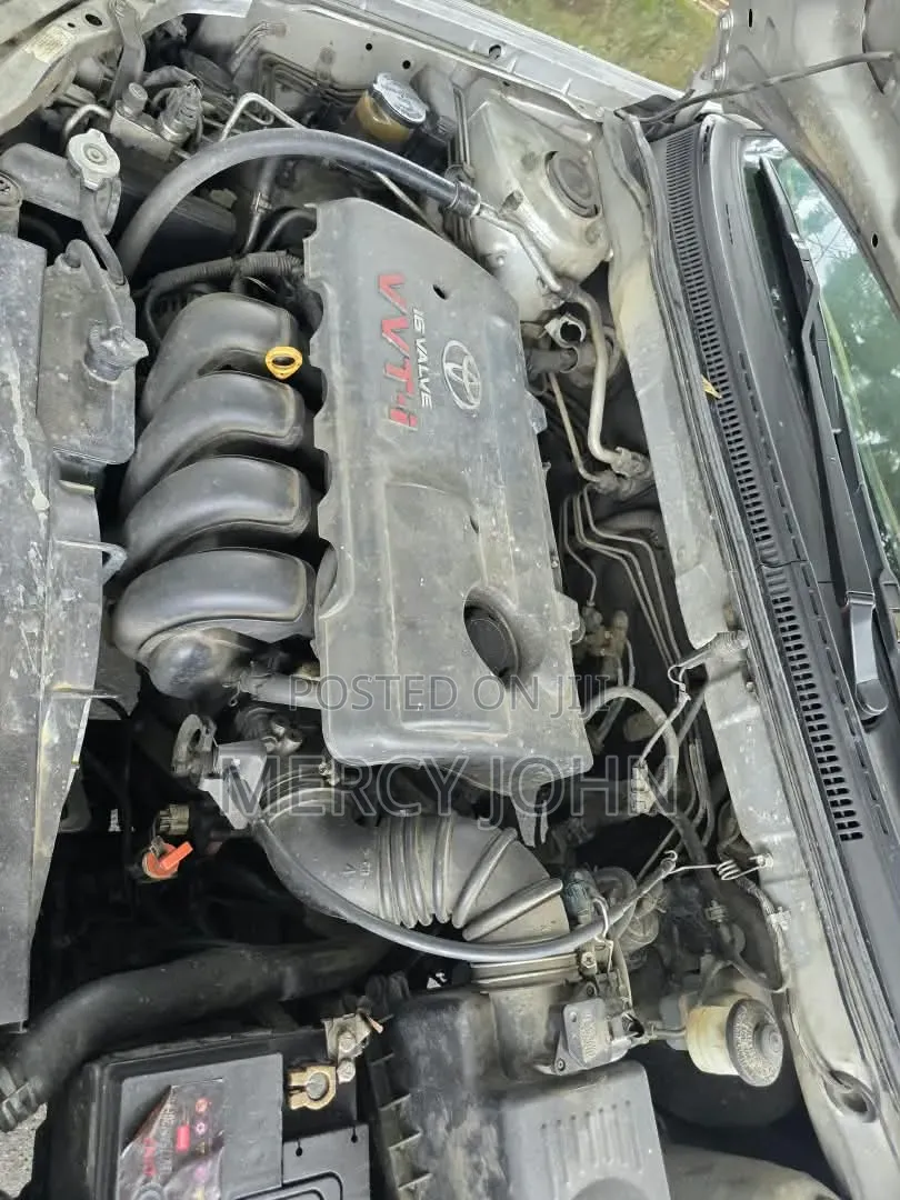 Toyota Corolla 2004 Gray