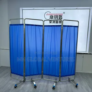Hospital Wall Screen