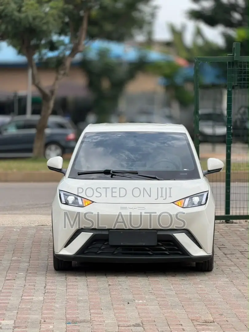 BYD Seagull 30 kWh FWD 2024 Beige