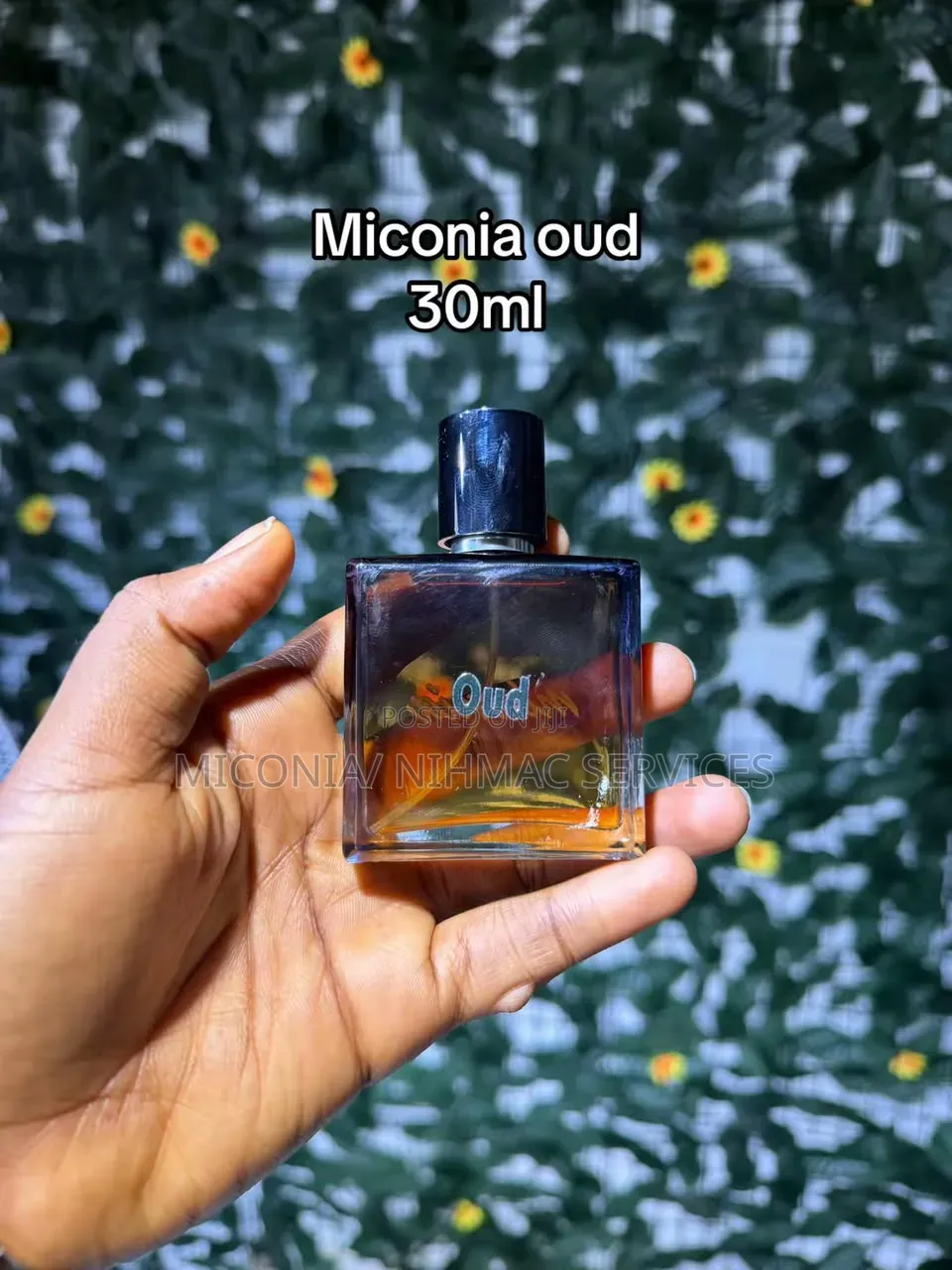 Miconia Perfume (Oud)