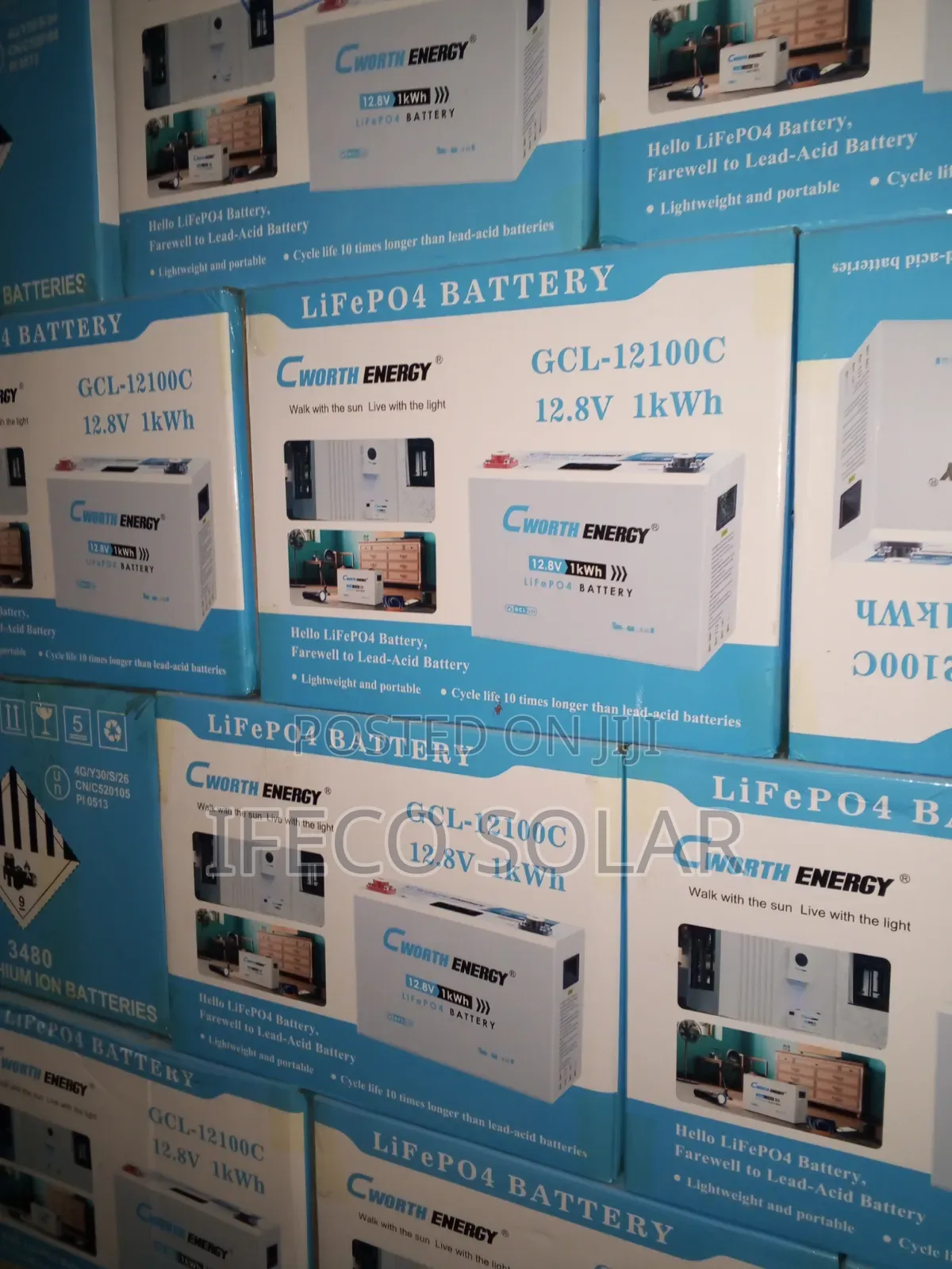 Cworth 1kwh Lithium Battery