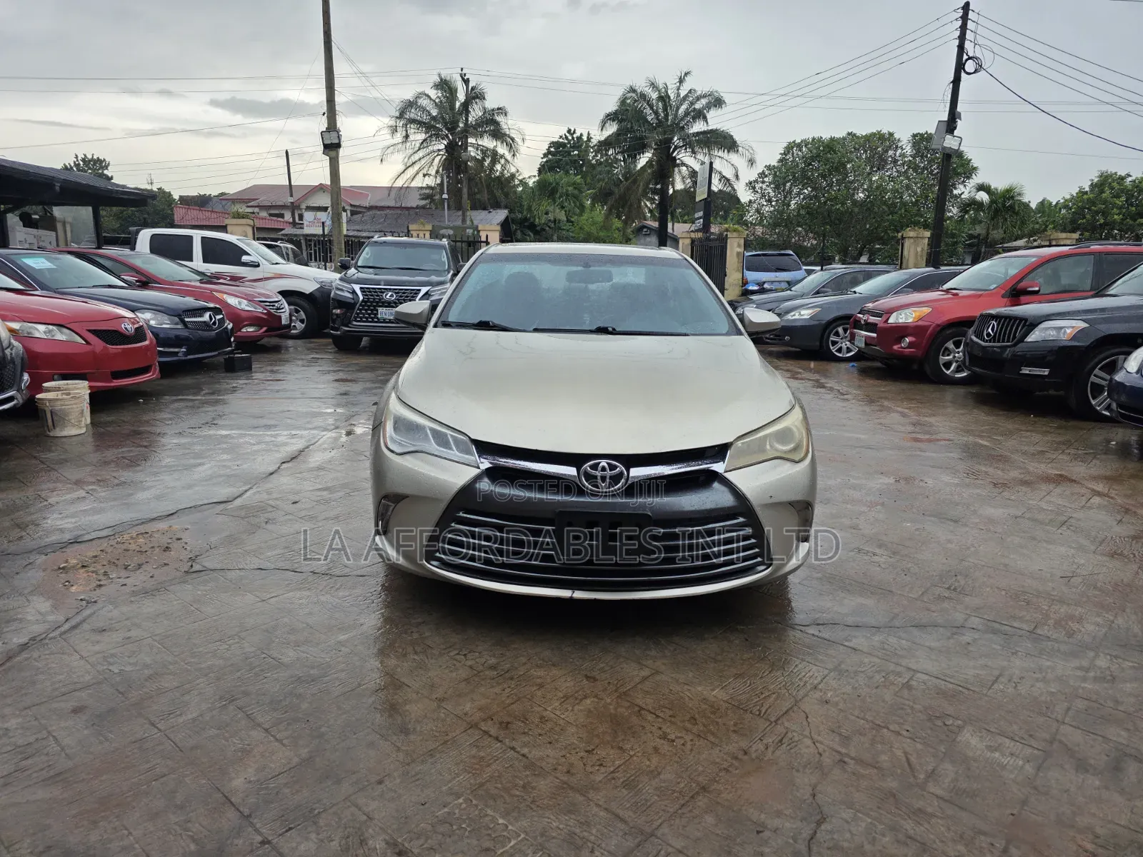 Toyota Camry XLE 4dr Sedan (3.5L 6cyl 6A) 2015 Gold