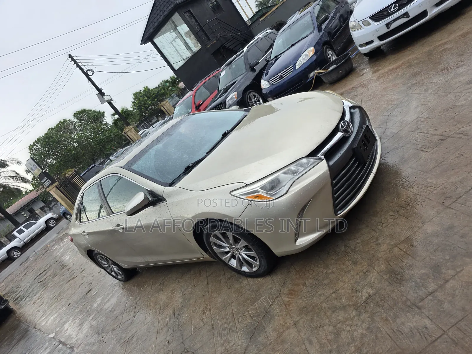 Toyota Camry XLE 4dr Sedan (3.5L 6cyl 6A) 2015 Gold