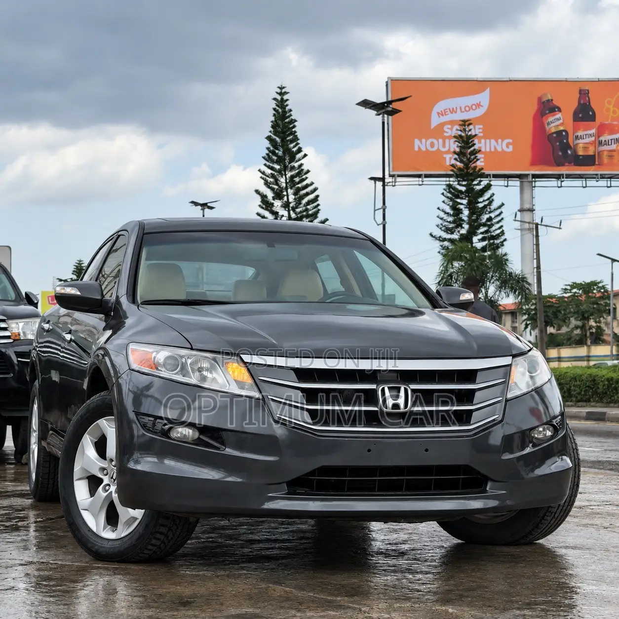 Honda Crosstour 2011 Gray