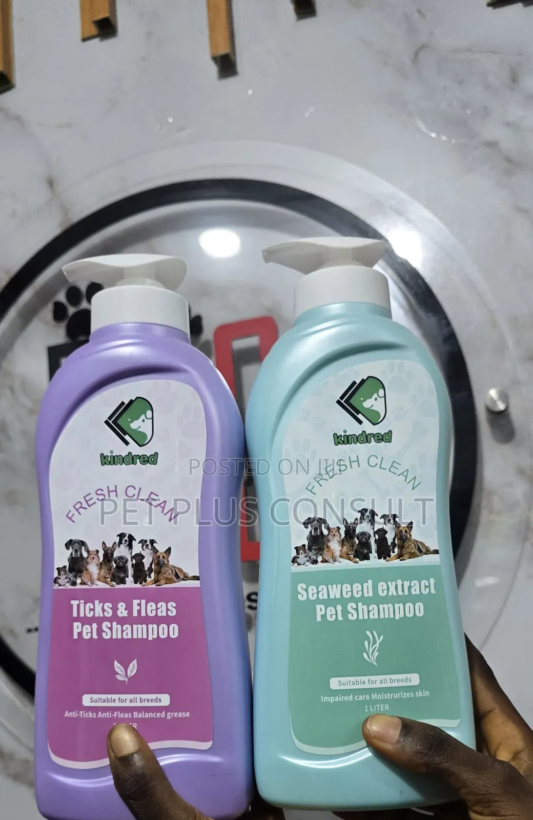 Kindred Shampoo