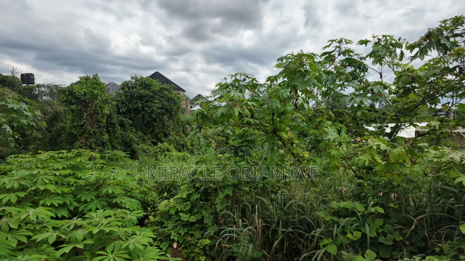 One Plot of Land for Sale Umuahia Abia State