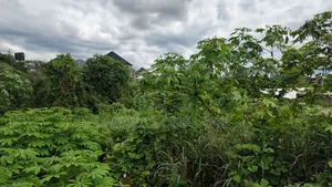 One Plot of Land for Sale Umuahia Abia State