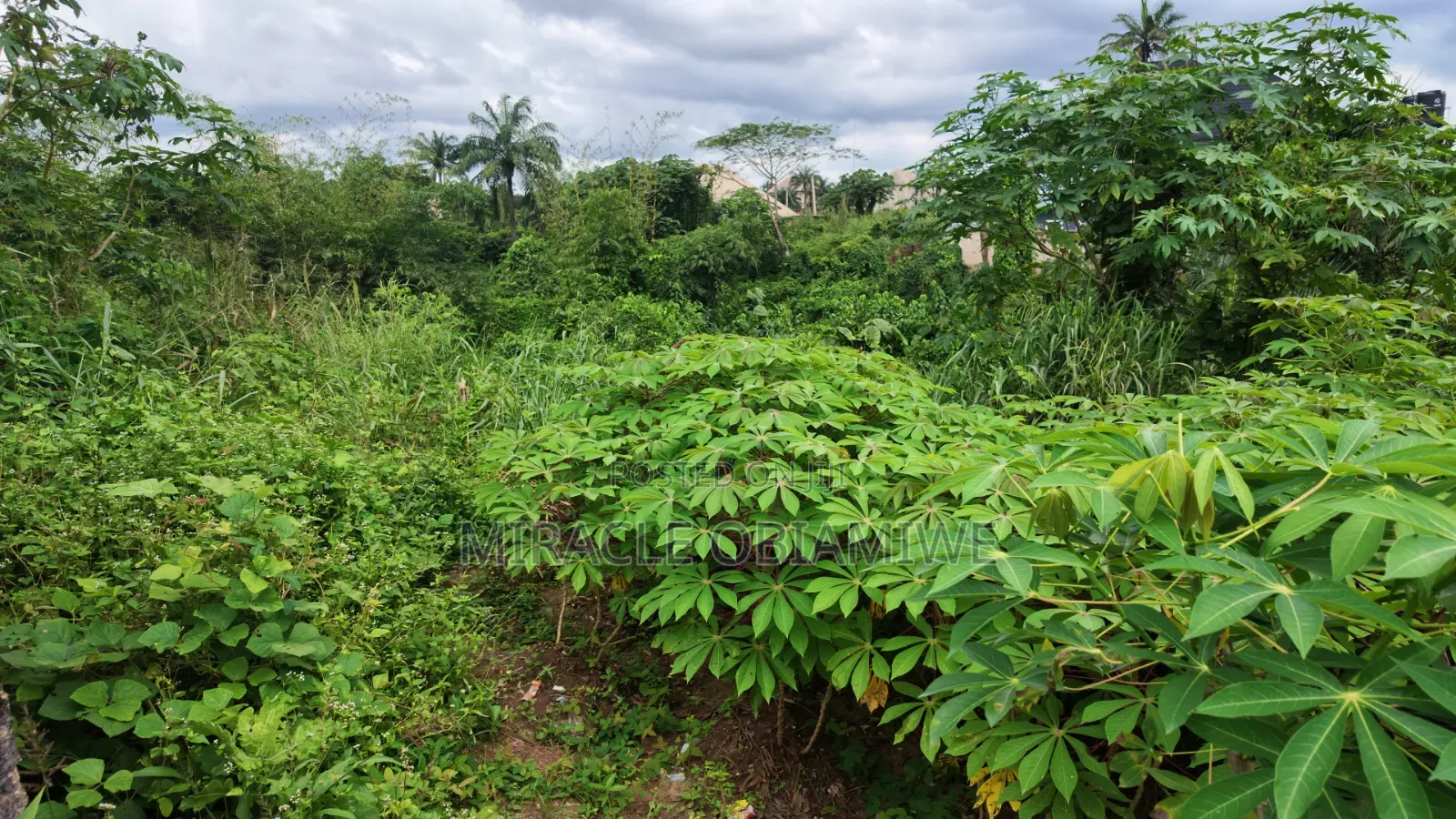 One Plot of Land for Sale Umuahia Abia State