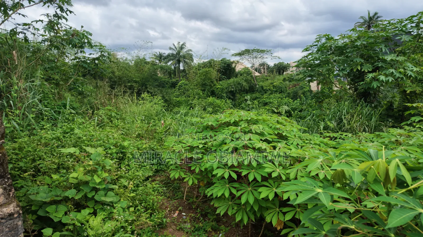 One Plot of Land for Sale Umuahia Abia State