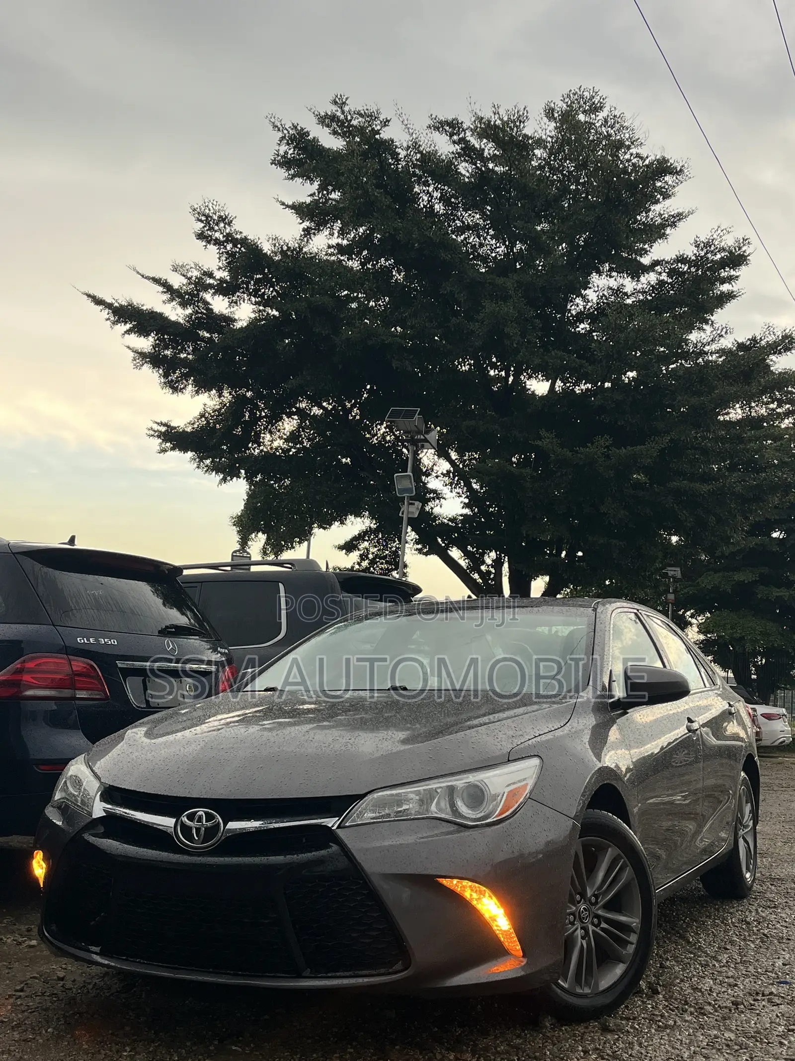 Toyota Camry SE 4dr Sedan (2.5L 4cyl 6A) 2015 Gray