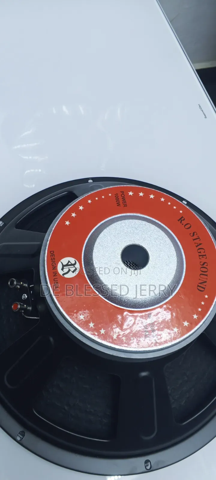 R O Stage Sound Naked Speaker 15 Inches Speaker