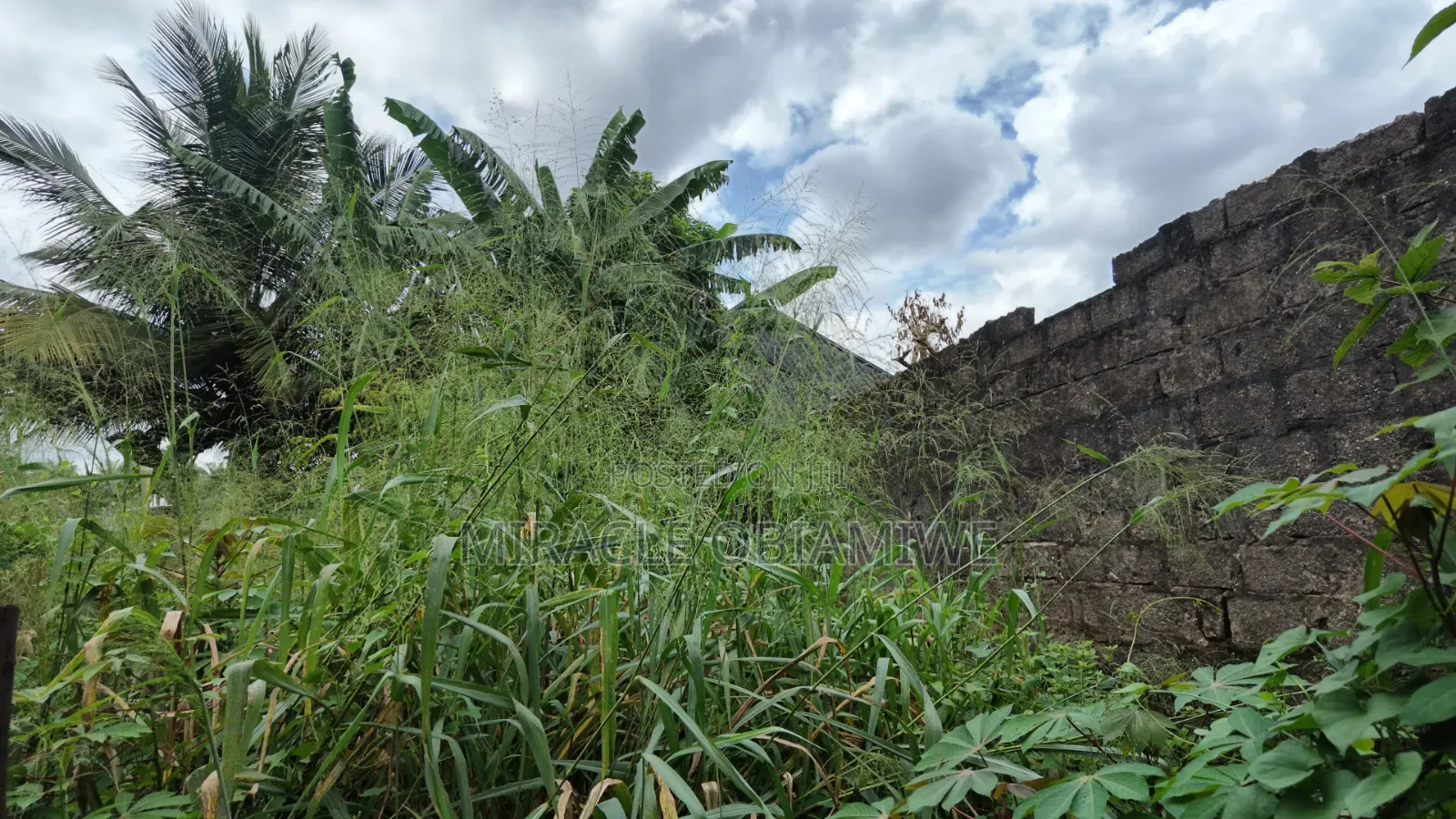 11⁄2 Plots of Land for Sale Umuahia Abia State