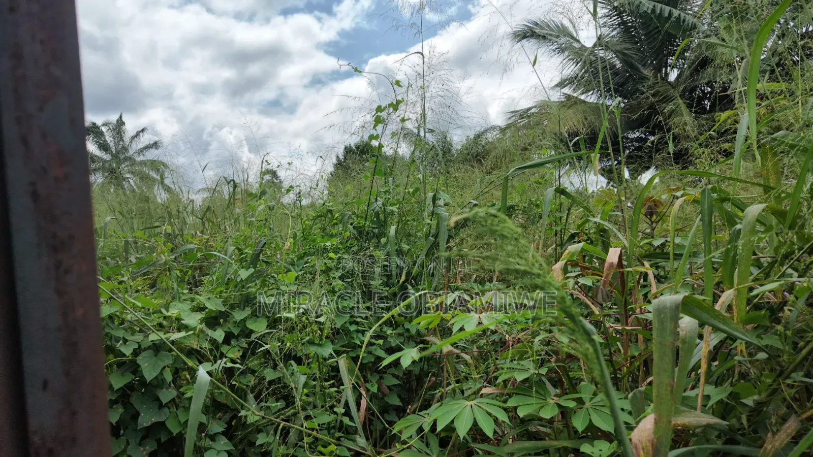11⁄2 Plots of Land for Sale Umuahia Abia State