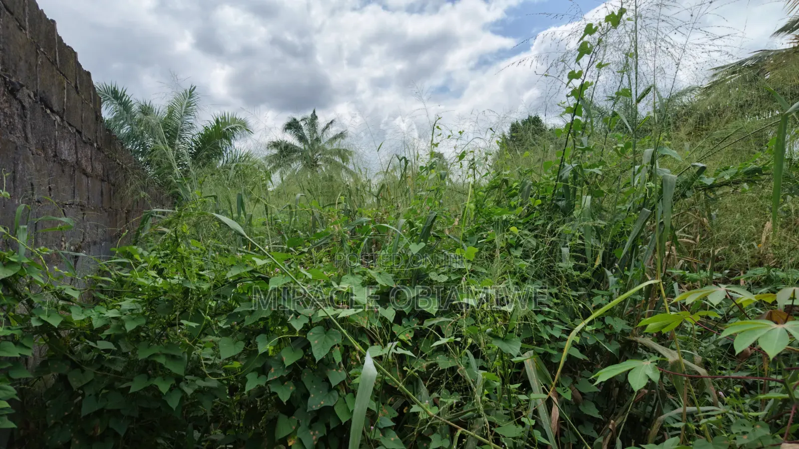 11⁄2 Plots of Land for Sale Umuahia Abia State