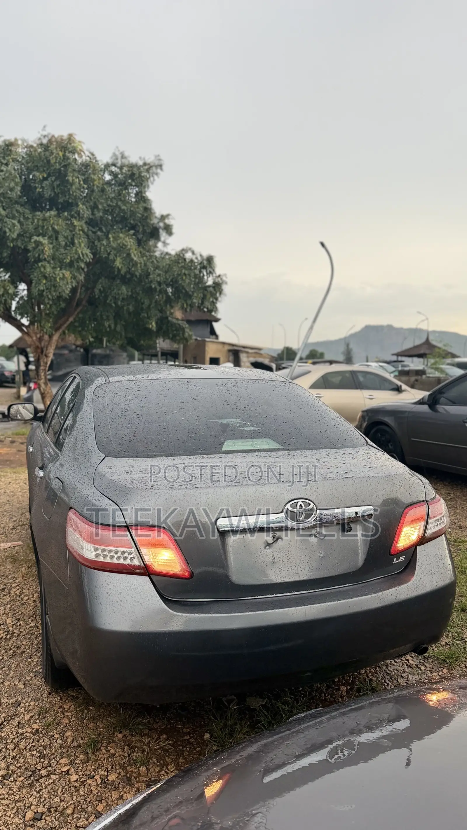 Toyota Camry LE 4dr Sedan (2.4L 4cyl 5A) 2009 Gray