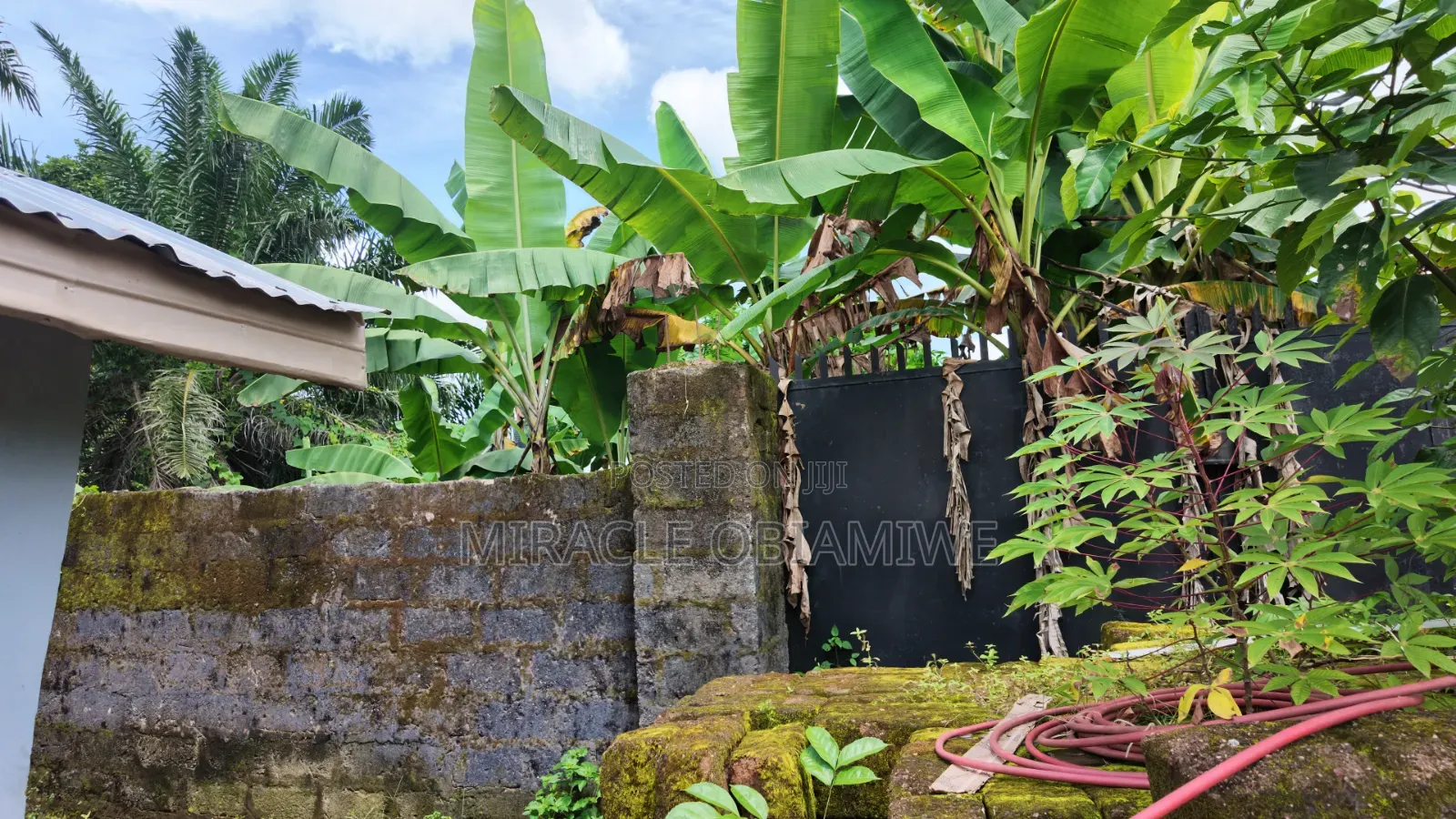 Half Plot of Land for Sale Umuahia Abia State