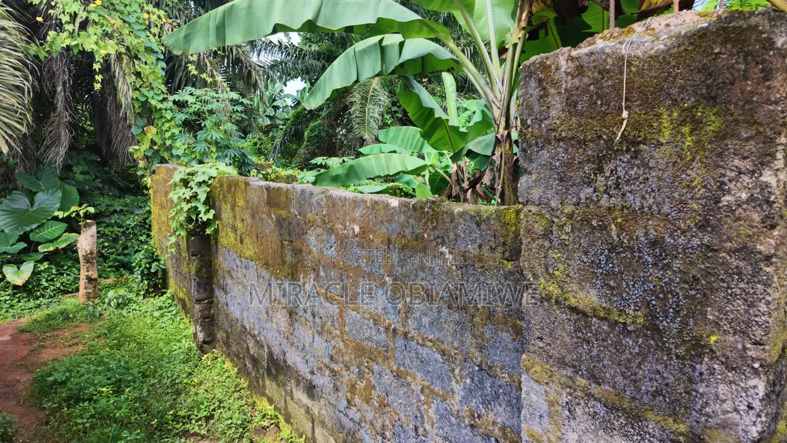 Half Plot of Land for Sale Umuahia Abia State