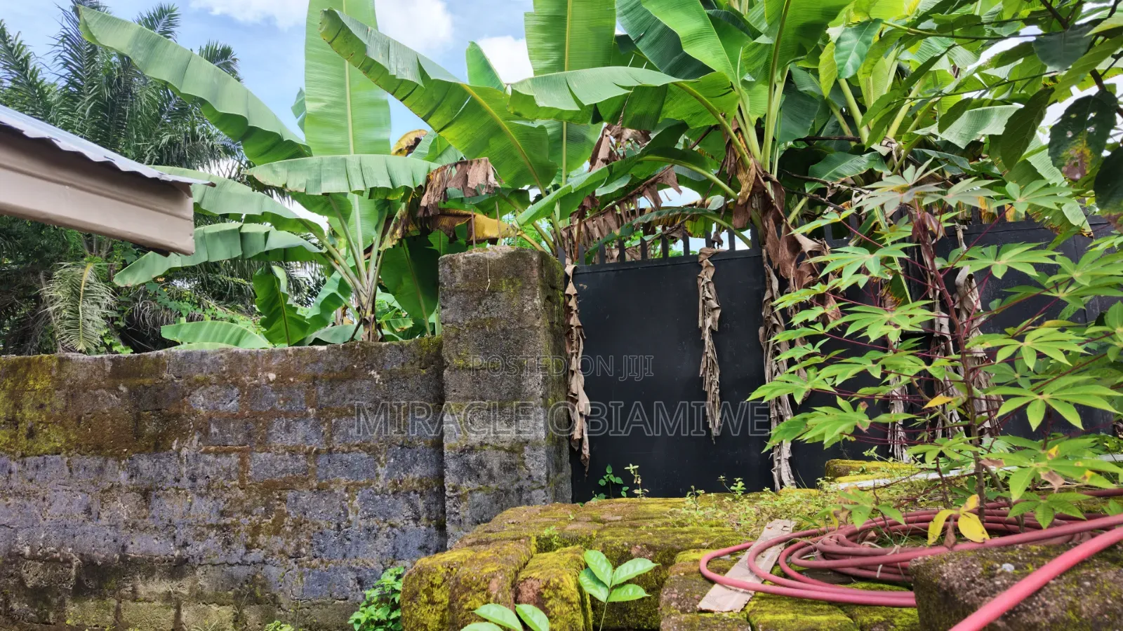 Half Plot of Land for Sale Umuahia Abia State