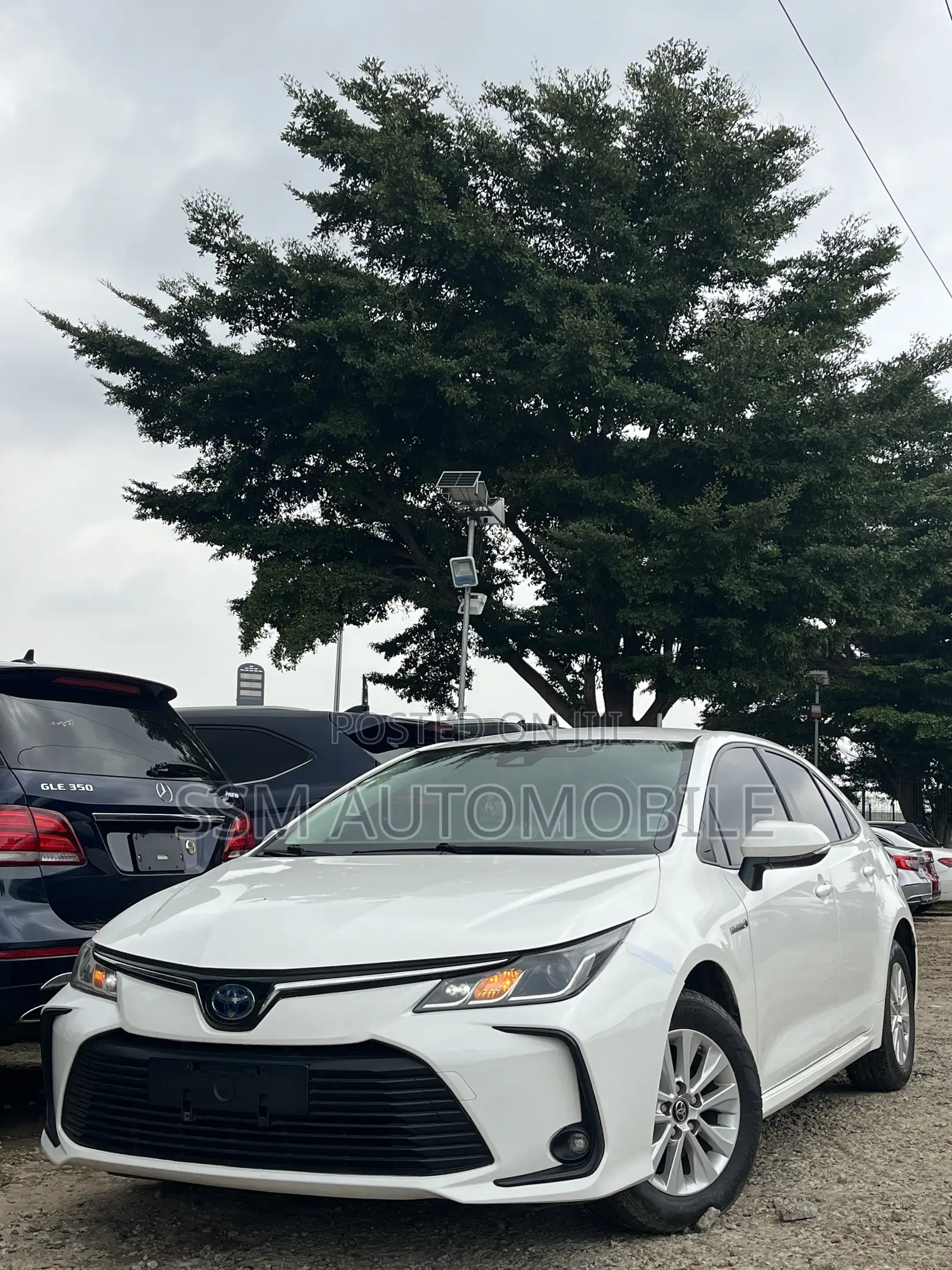 Toyota Corolla 2019 White
