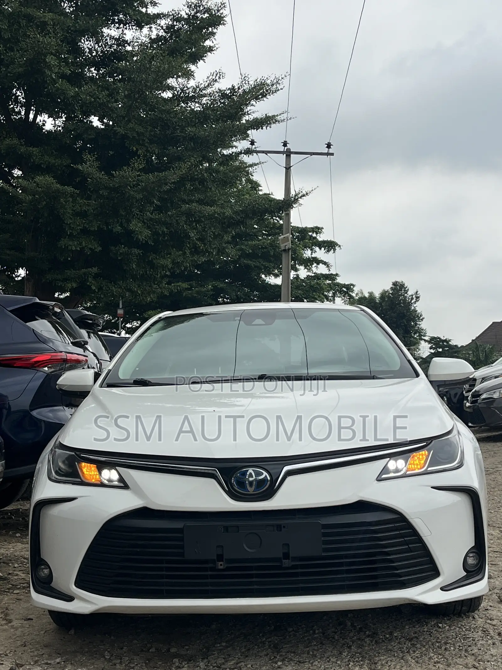 Toyota Corolla 2019 White