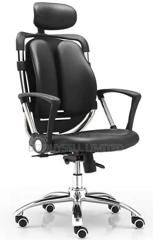 Executive Ergonomic Kidney-Shaped Office Chair With Lumbar Support.