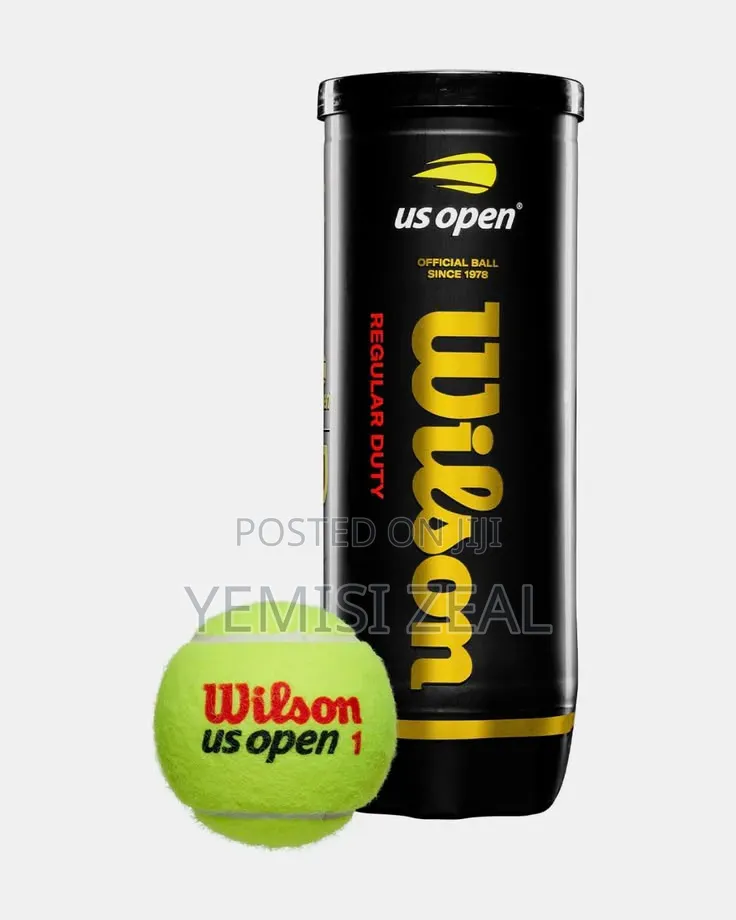 Wilson Lawn Tennis Ball