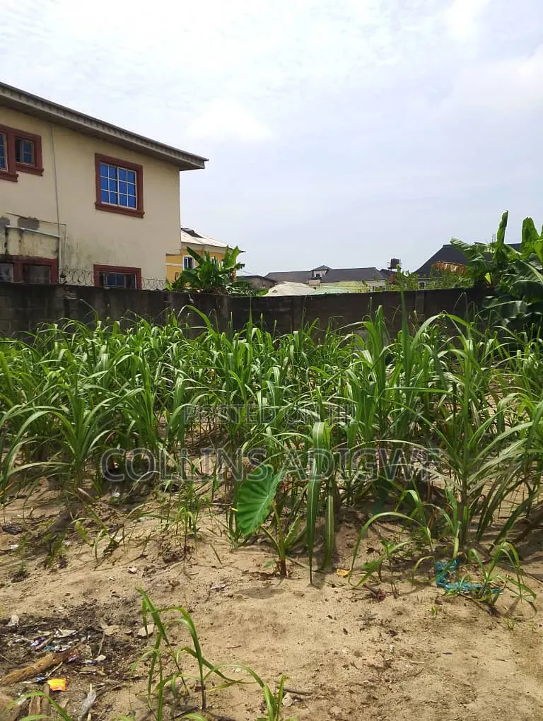 500sqm Dry Land Ogombo