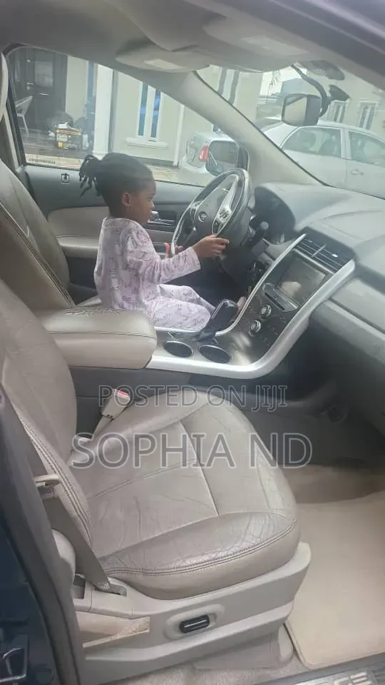 Ford Edge 2013 Blue