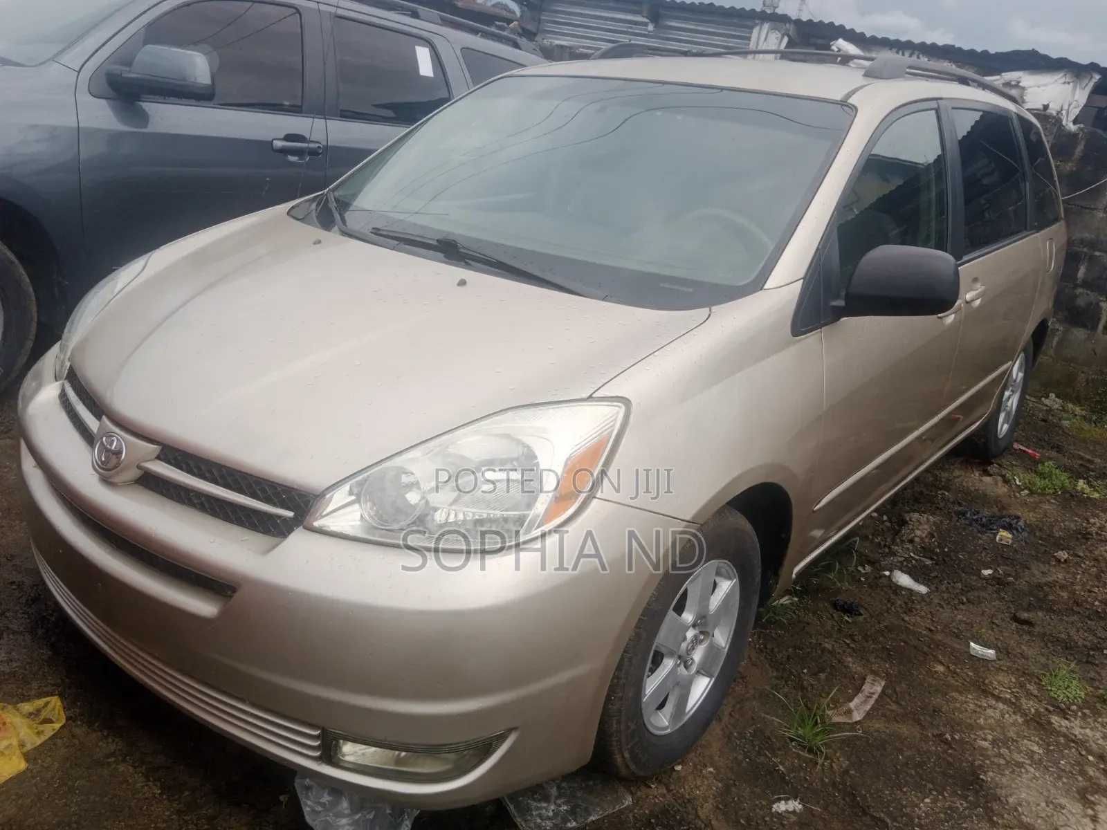 Toyota Sienna 2005 Gold