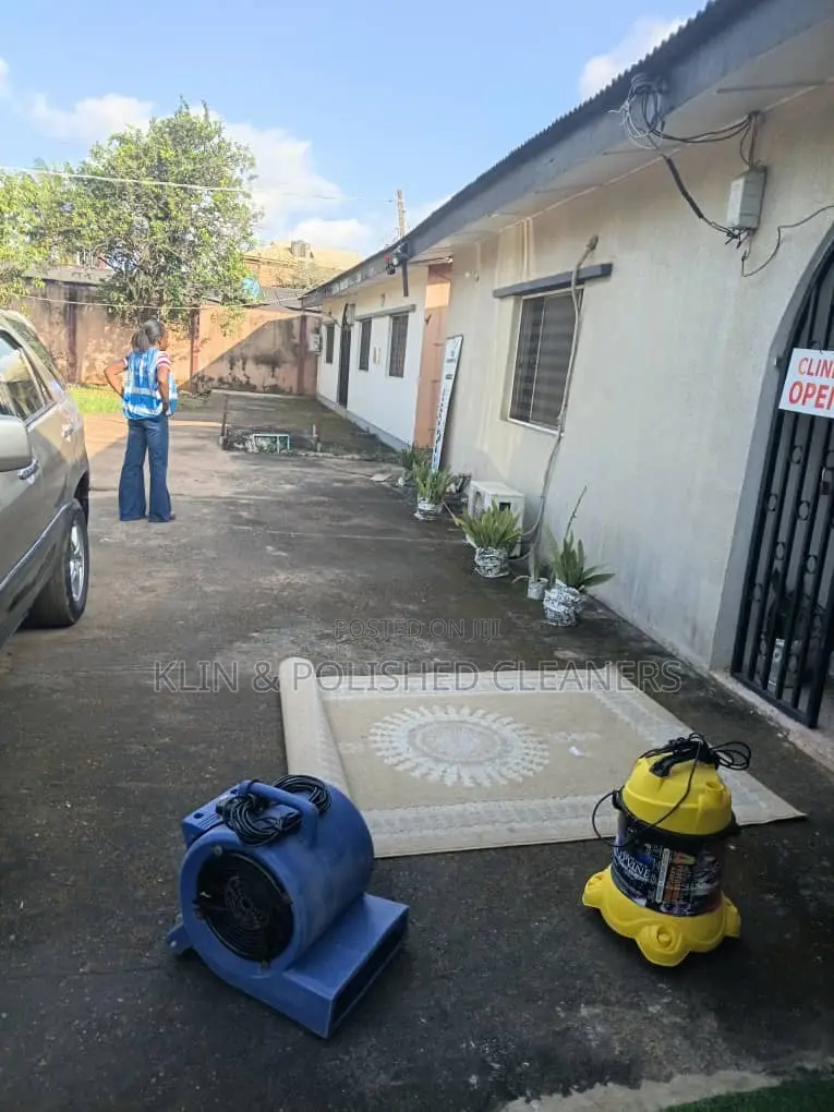 Pro Rug Washing