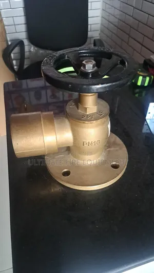 Angle Landing Valve