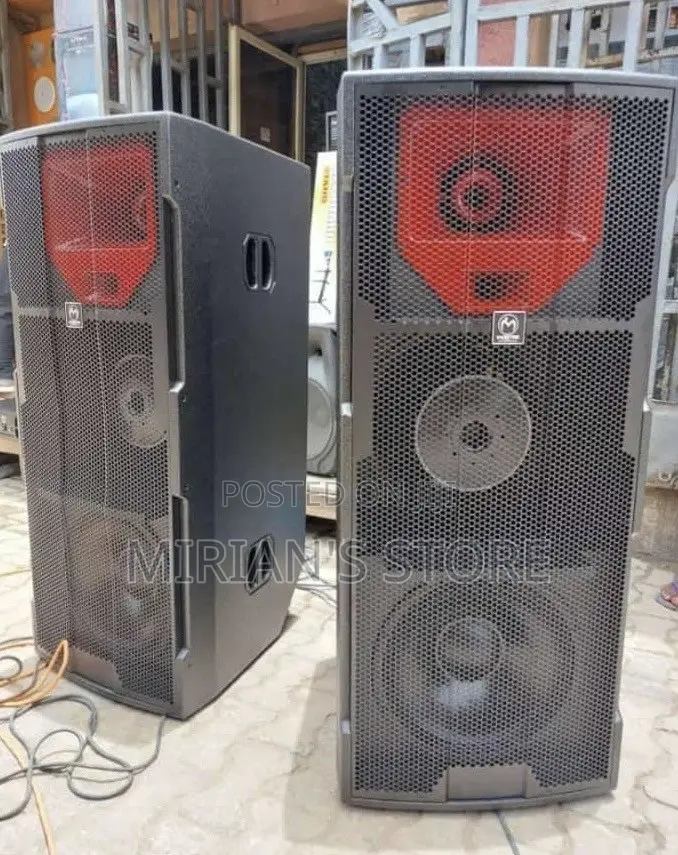 Pair of Master Audio High-Power Double-Woofer PA Loudspeakers