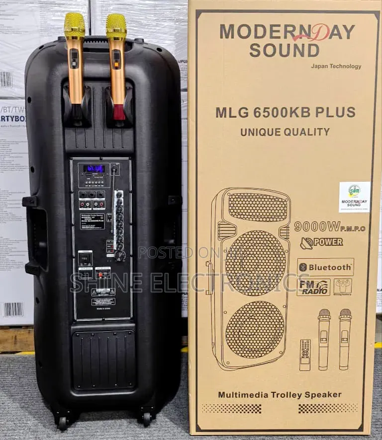 Modern Day Double 15 Inches Public Address System