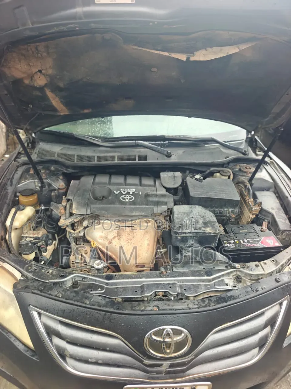 Toyota Camry LE 4dr Sedan (2.5L 4cyl 6AM) 2010 Gray