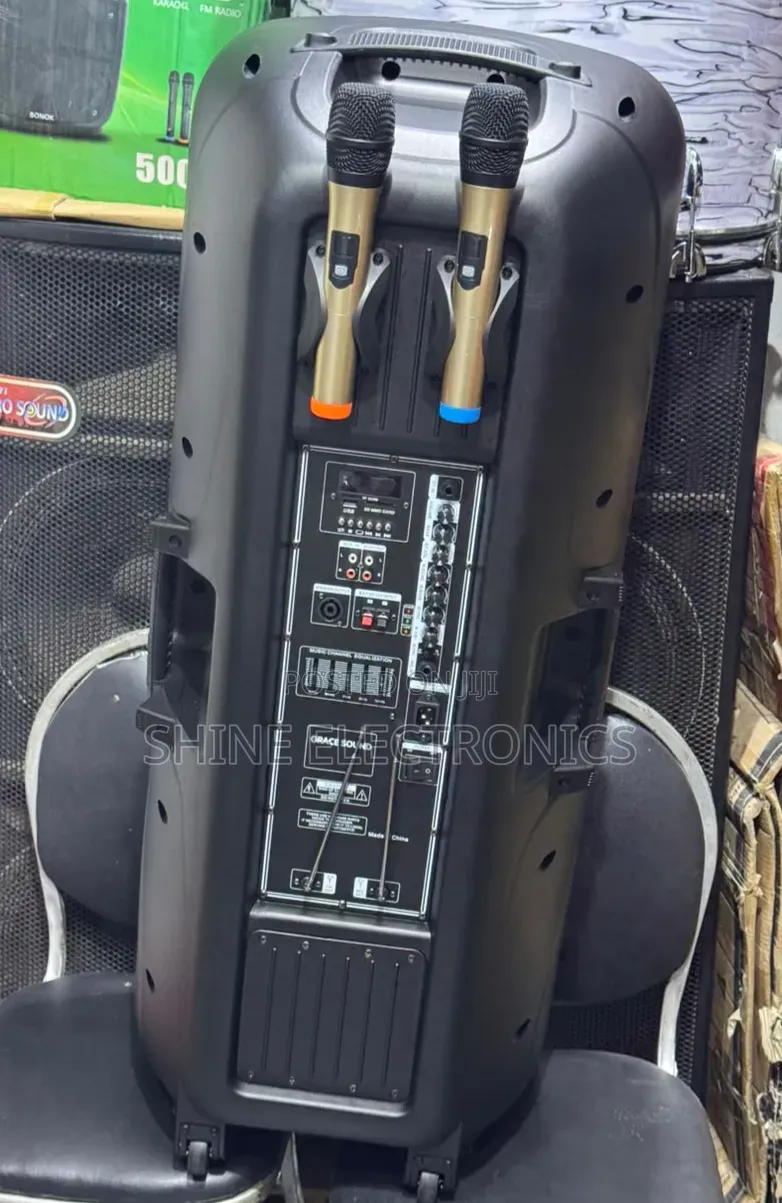 Grace Sound Double 15 INCHES Public Address System With Speaker Output