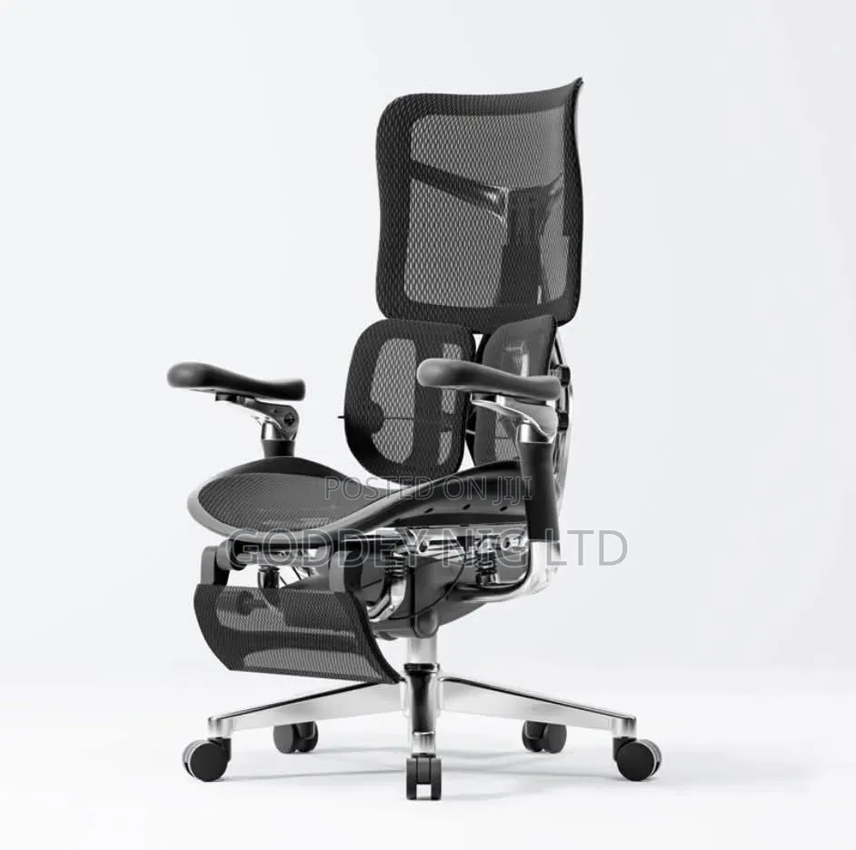 Agonomic Office Chair