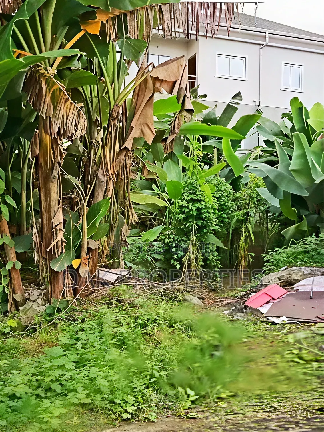 Cornerpiece 535sqm Land in an Estate With Tarred Road at Rukpakulusi