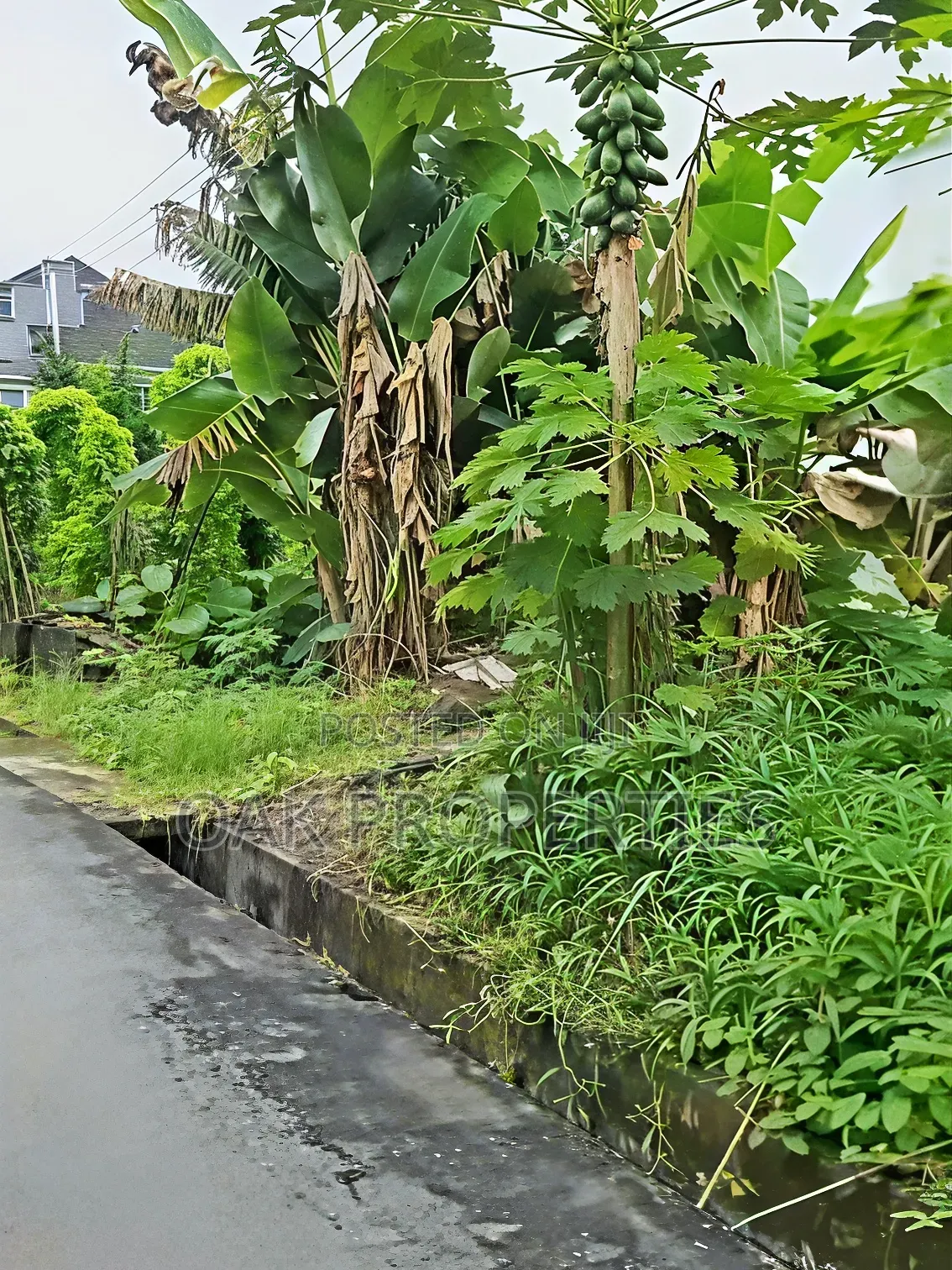 Cornerpiece 535sqm Land in an Estate With Tarred Road at Rukpakulusi