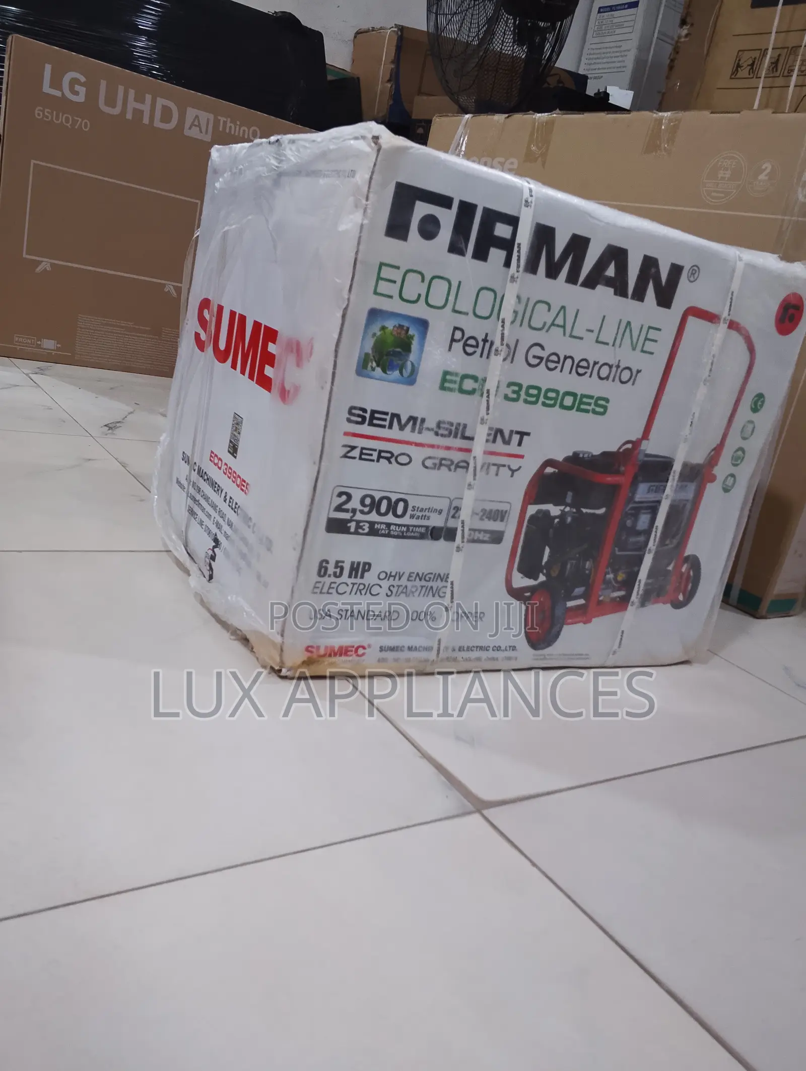 FIRMAN ECO3990ES Generator for Fans, Lights and Television