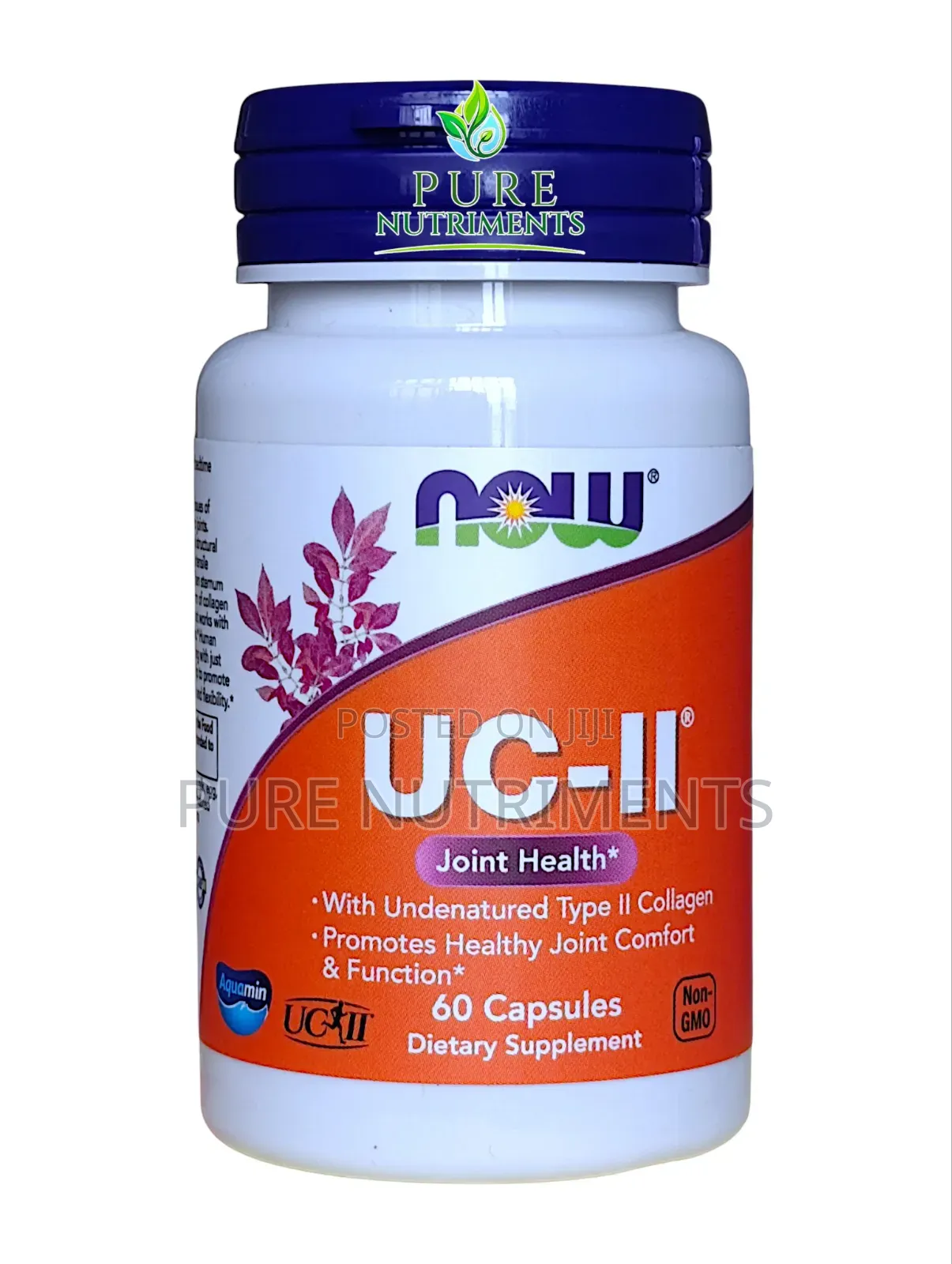 NOW Foods UC-II Joint Health Undenatured Type II Supplement 60 Capusle