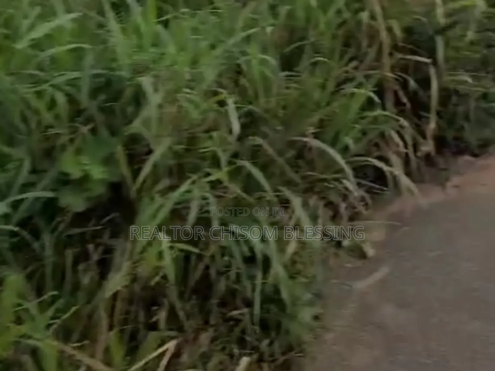 21⁄2 Plots for Sale at Ohiya Along the Express Rd, Umuahia Abia State