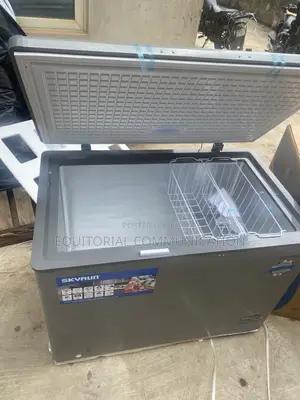 BD-300HNW Skyrun 300L Chest Freezer With Adjustable Cooling