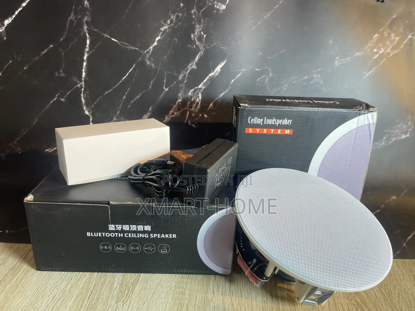 Ceiled Wireless Speaker (2horn)