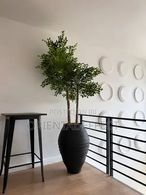 Matte Black Big Venice Pot With Artificial Elm Seed Tree | Nigeria