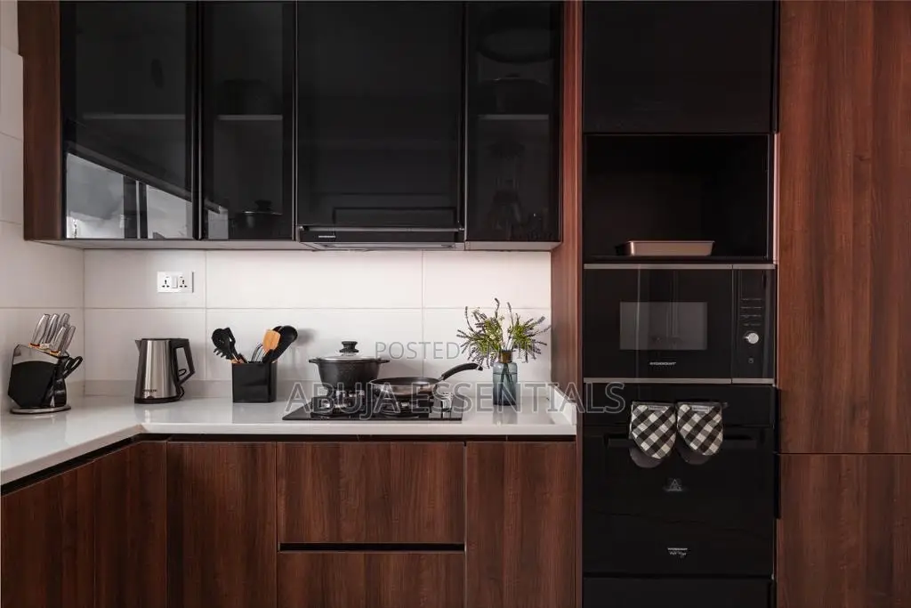 3 Bedroom Luxury Apartment Wuse 2