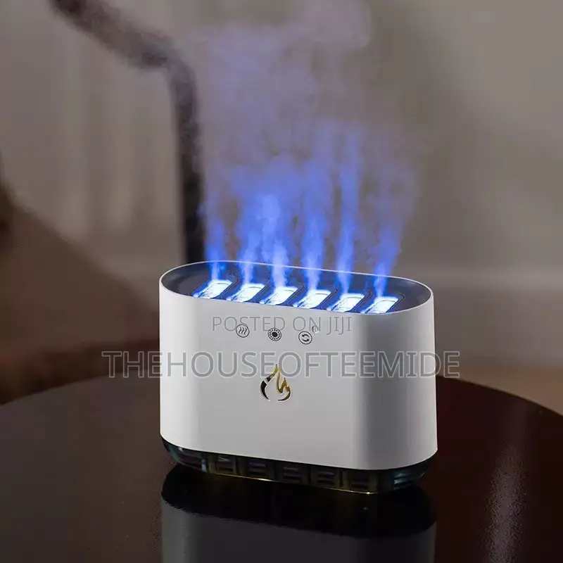 Humidifier for Home and Office Use